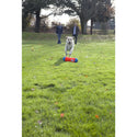 Chuckit! Tumble Bumper Toy For Dogs- Medium