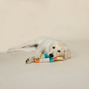 PetShop by Fringe Studio Sip Stay Vacay Muttcato Plush Dog Toy