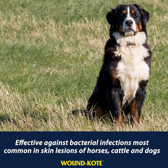 Farnam Wound Kote Blue Lotion Spray Wound Dressing For Horses & Dogs (5 oz)