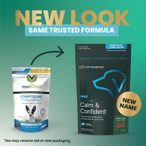 Long Lasting Calm & Confident Chews for Dogs