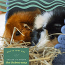 Oxbow Animal Health Oat Hay for Small Animals (15 oz)