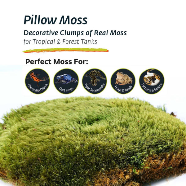 Galapagos Pillow Terrarium Moss for Tropical & Forest Tanks