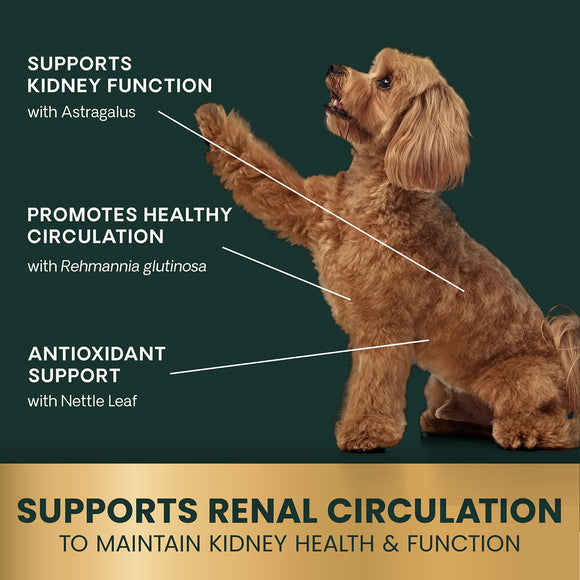 Kidney Health Tablets for Dogs