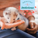 Oxbow Real Prey Turkey Ferrets Rewards Ferret Crunchy & Chewy Treats (3 oz)