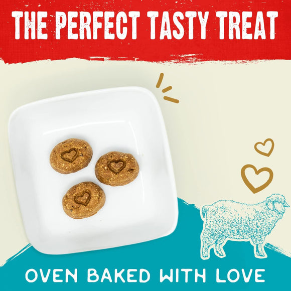 Stella & Chewy's Raw Coated Biscuits Grass-Fed Lamb Recipe Crunchy Dog Treats (9 oz)