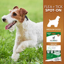 Vet's Best Flea & Tick Spot Treatment for Medium Dogs 16-40 lbs (4 doses)