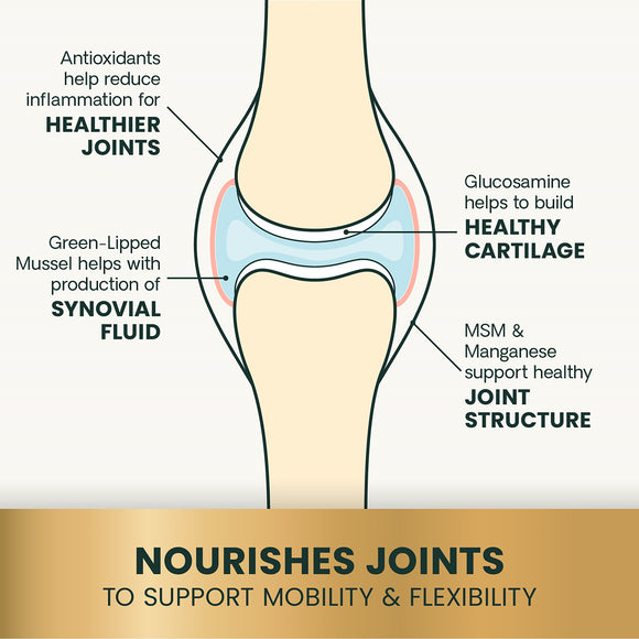 Extra Strength Healthy Hip & Joint Chews for Dogs Chicken Flavor