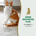 Nature's Miracle Urine Destroyer Plus Enzymatic Formula for Cats