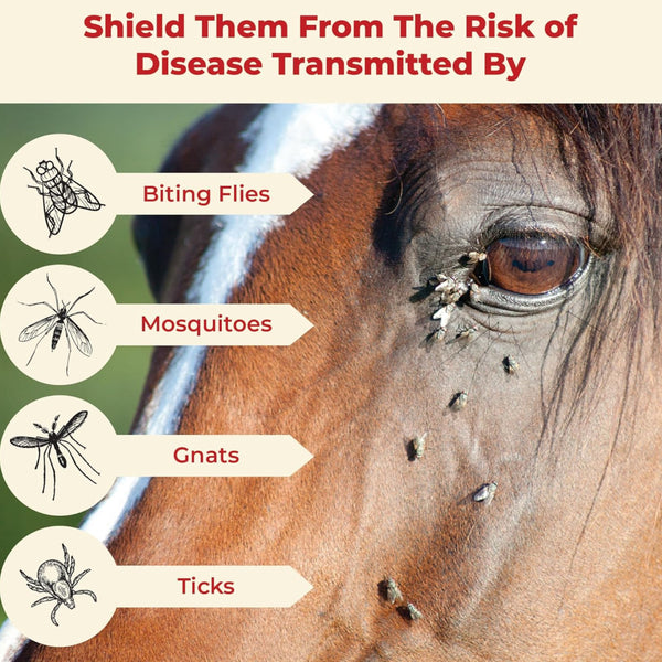 Ultrashield fly spray for horses shields your pet from the risk of diseases transmitted by biting flies, mosquitoes, gnats, and ticks. 