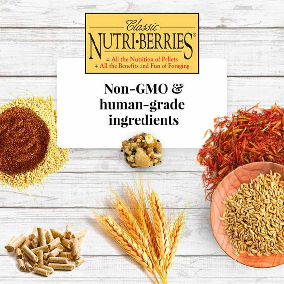 Lafeber Classic Nutri-Berries Parrot Food