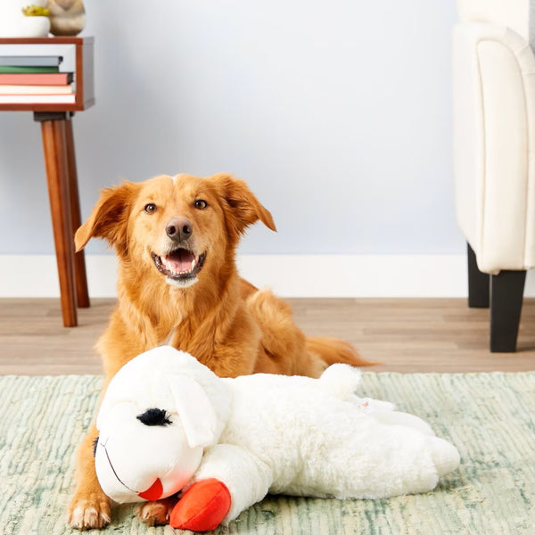 Multipet Lamb Chop Plush Squeaky Dog Toy