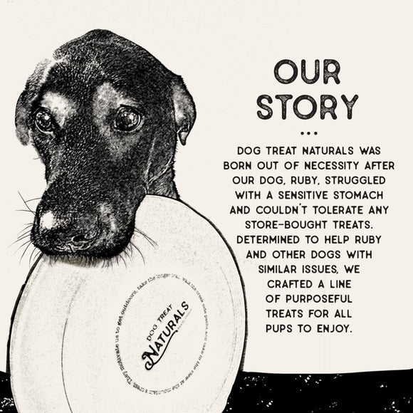 Dog Treat Naturals Superfood Sticks Duck & Apple Dog Treats (10 oz)