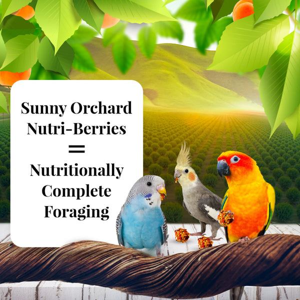 Lafeber Sunny Orchard Nutri-Berries Bird Food (10 oz)