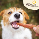 Pet 'n Shape Chik 'n Skewers Treats For Dogs