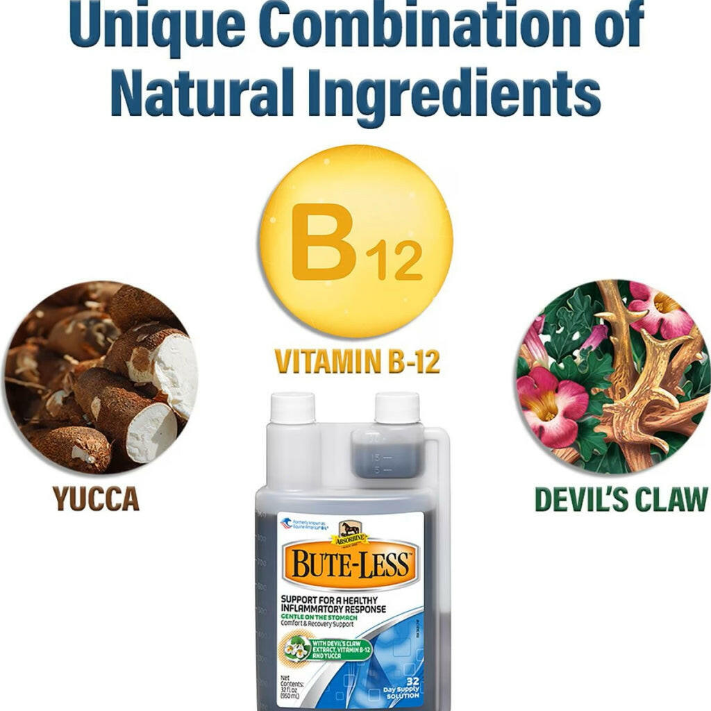 Ingredients like yucca extract. devil's claw and vitamin b-12 all work together to provide natural pain relief for horses in this horse recovery solution. 