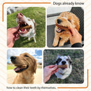 Groovies Senior Dental Chews for Extra Large Dogs 51-100+ lbs-5