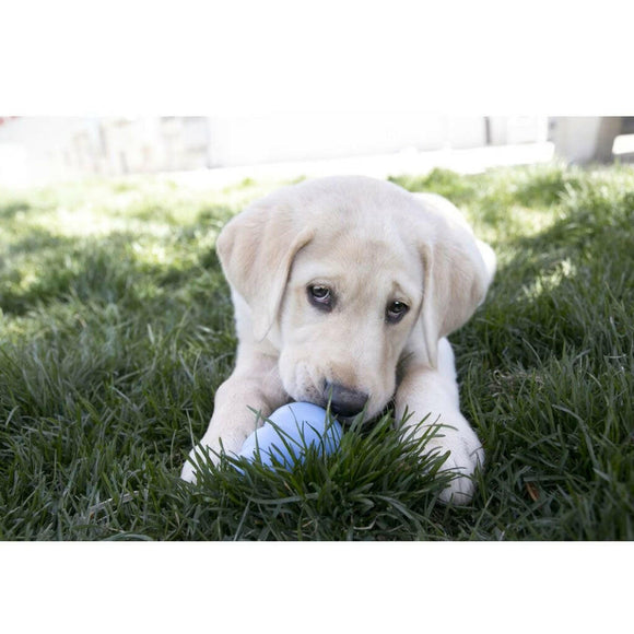 Kong Stuff'N Snacks Chicken Liver Flavor Treats For Puppies- Large (11oz)