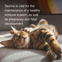 taurine tablets for cats