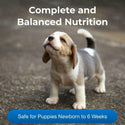 petlac puppy milk replacement