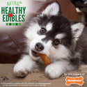 Nylabone Healthy Edibles Puppy Natural Sweet Potato & Tukery Flavor Puppy Chew Treats- Small/Regular (8 ct)