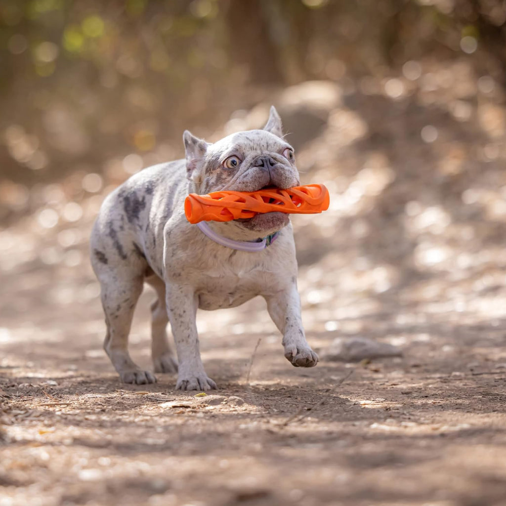 Chuckit! Air Fetch Stick Toy For Dogs- Large