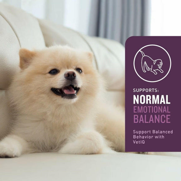 VETIQ Calming Soft Chew Supplement for Dogs (60 soft chews)