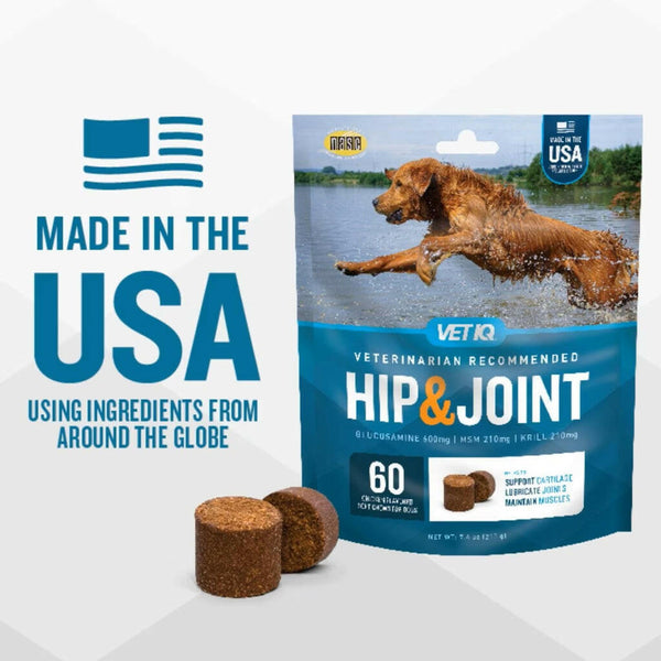 VetIQ Hip & Joint Soft Chew Supplement for Dogs (60 count)