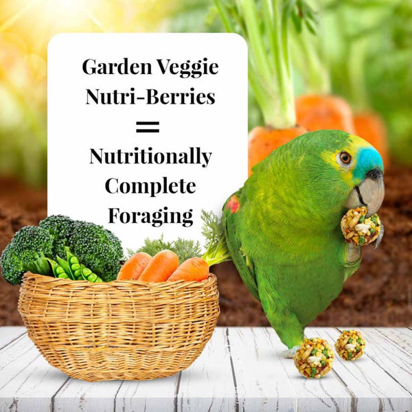 Lafeber Garden Veggie Nutri-Berries Parrot Food (10 oz)