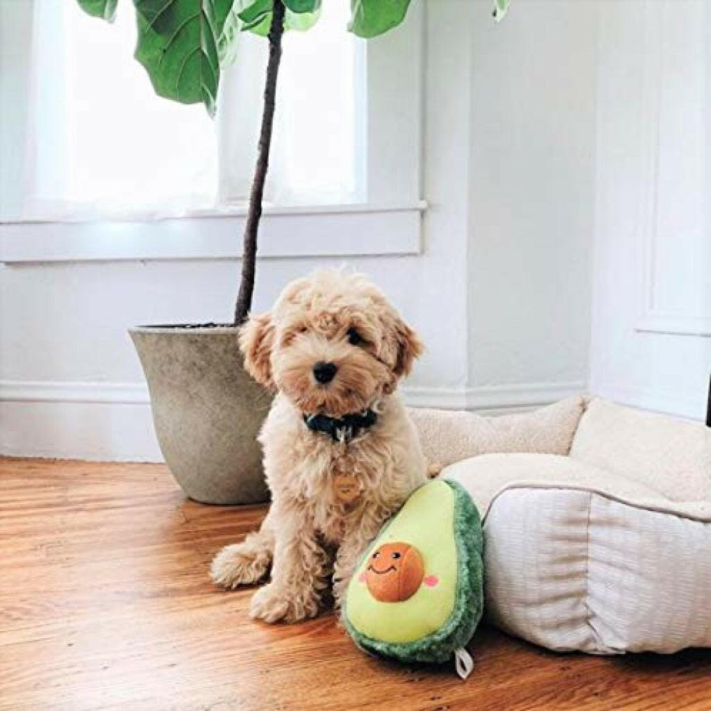 Zippy Paws NomNomz Avocado Soft Plush Squeaker Toy For Dog