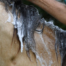 Banixx Horse & Pet Care Antifungal & Antibacterial Shampoo with Collagen (16 oz)