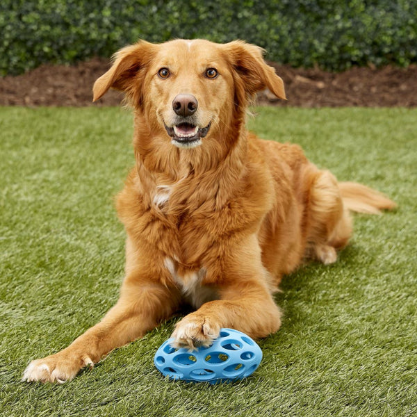 JW Pet Hol-ee Football Toy For Dogs - Assorted Colors