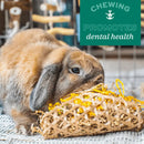 Oxbow Enriched Life Willow Bundle Small Animal Chew Toy