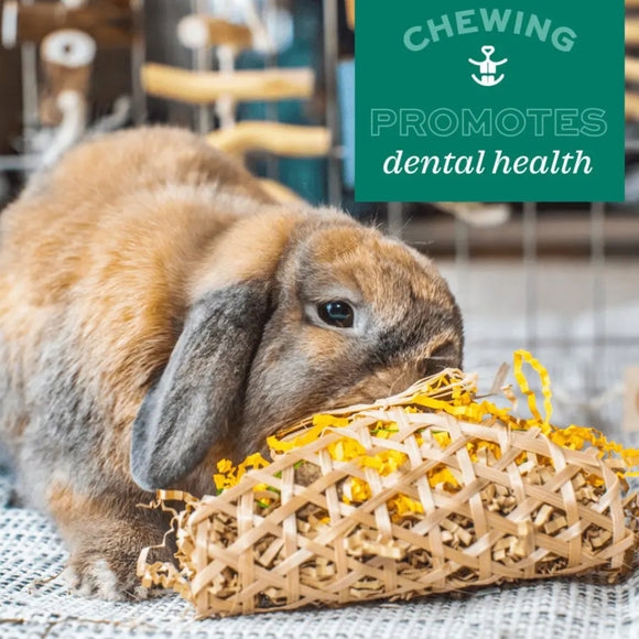 Oxbow Enriched Life Willow Bundle Small Animal Chew Toy