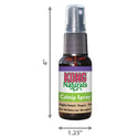 Kong Natural Catnip Spray For Cats (1 oz)