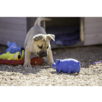 Multipet Latex Globlet Grunting Pig Toy For Dogs- Assorted Colors (9-in)