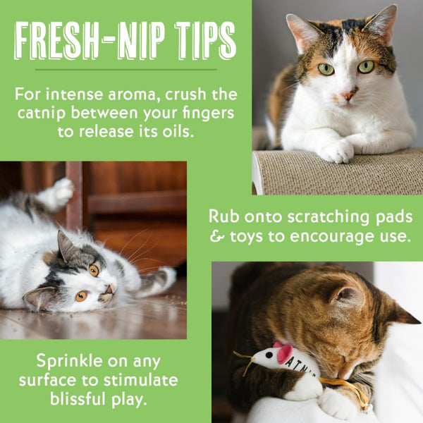 Van Ness Fresh-Nip Organic Catnip For Cats (1 oz)