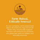 OTIS Wild Things Venison Jerky Treats for Dogs (4 oz)