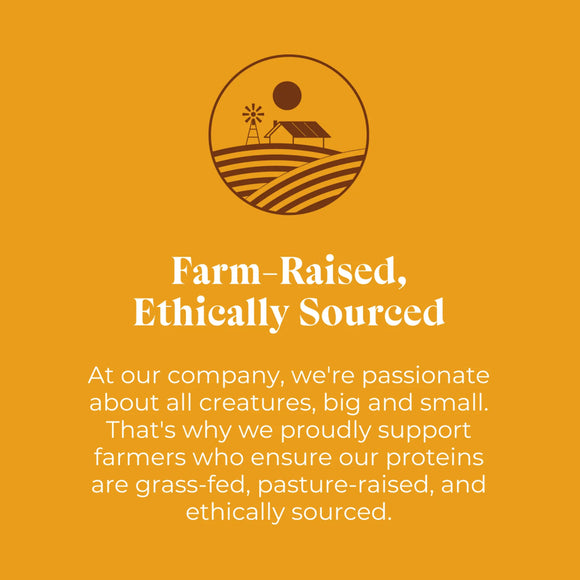 OTIS Wild Things Venison Jerky Treats for Dogs (4 oz)