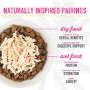 Tiki Cat King Kamehameha Grain Free Wet Canned Food For Cats -Variety Pack (28 oz x 12 cans)