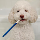 Nylabone Advanced Oral Care Dog Dental Kit