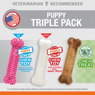 Nylabone Puppy Triple Pack Treat & Chew for Puppies- Variety Pack