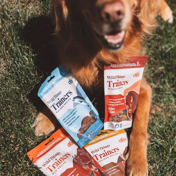OTIS Wild Things Venison Trainers Bite-Sized Treats for Dogs (4 oz)