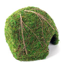 Galapagos Mossy Dome Terrarium Hideaway For Reptiles & Amphibians