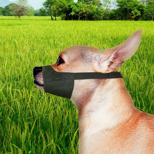 Four Paws Quick-Fit Muzzle For Dogs