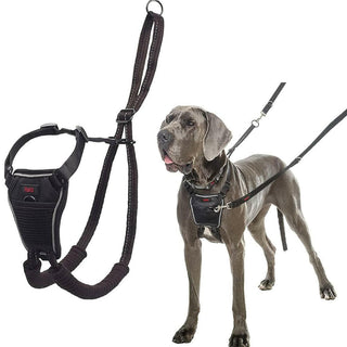 The Company of Animals Halti No Pull Harness For Dogs (Large)