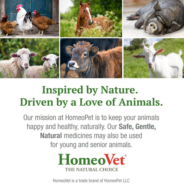 HomeoPet Avian Digestive Upsets For Poultry & Pet Birds (15 ml)