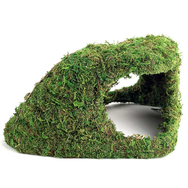 Galapagos Sapa Corner Hide Terrarium Hideaway (10 in)