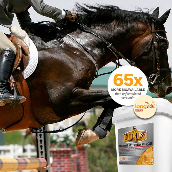 Absorbine Bute-Less Performance Supports Healthy Inflammatory Pellets For Horses (3.7 lbs)