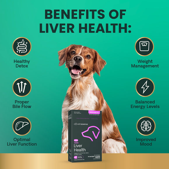 SAMe Liver Health 225 mg tablet for Dogs