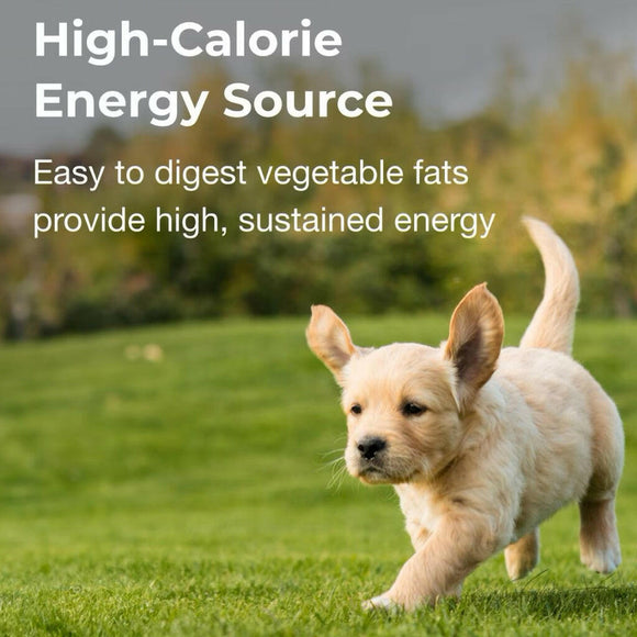 this high calorie dog gel is easy to digest